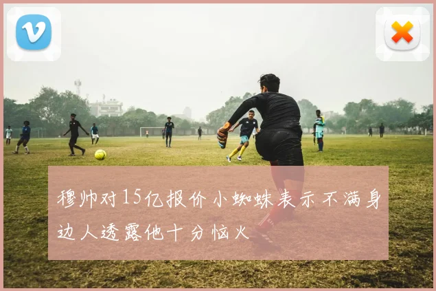 穆帅对15亿报价小蜘蛛表示不满身边人透露他十分恼火