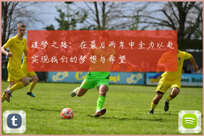 追梦之路：在最后两年中全力以赴实现我们的梦想与希望