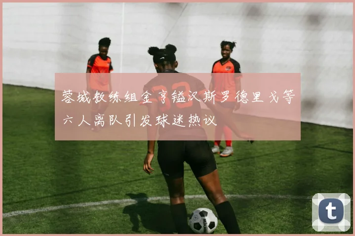 蓉城教练组金亨镒汉斯罗德里戈等六人离队引发球迷热议