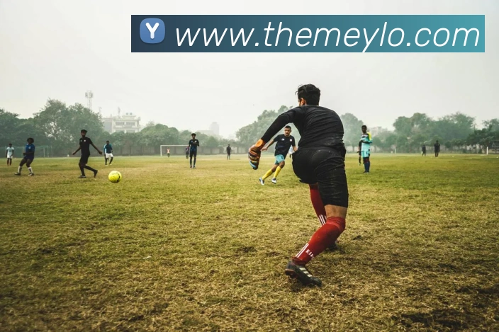 多终端兼容